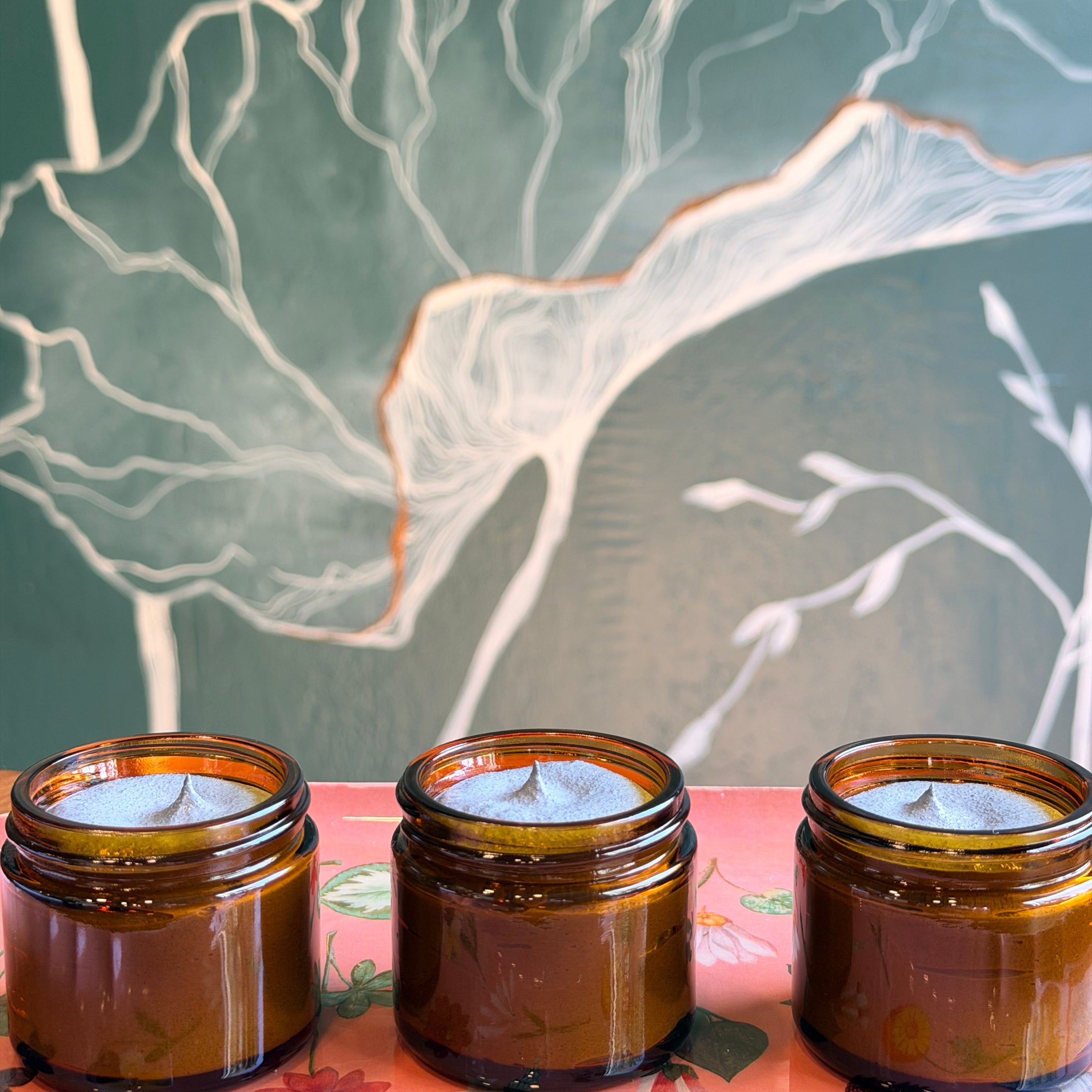 Two different sized glass jars with white labels; three glass beakers with activated charcoal, natural clay, jojoba wax beads; with plant cuttings displayed on a white wood board.