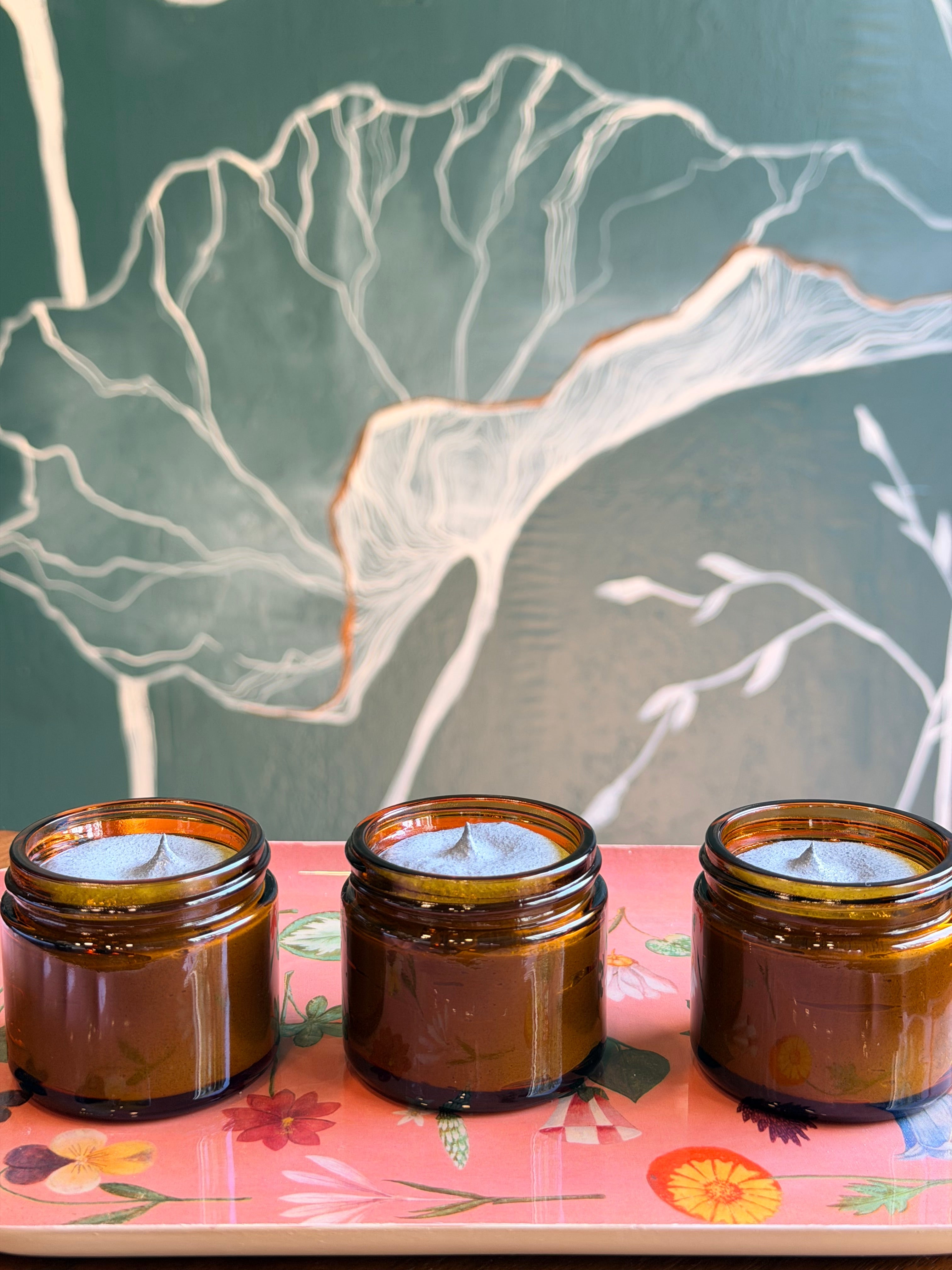 Two different sized glass jars with white labels; three glass beakers with activated charcoal, natural clay, jojoba wax beads; with plant cuttings displayed on a white wood board.